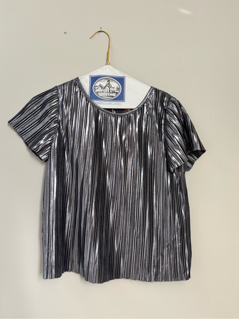 Girls Metallic Silver Pleated Short Sleeve Blouse